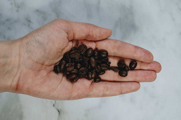 Storing coffee beans: Tip - do not freeze! Keep your beans fresh with these tips.