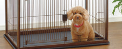 Where to donate pet carries / crates in Australia