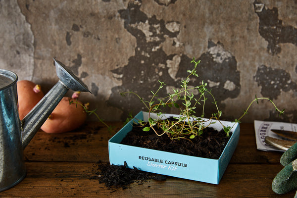SealPod Australia: Sustainable, ethical & locally produced packaging