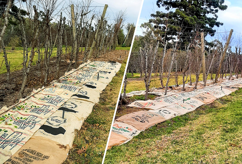 Crema Joe coffee hessian & chaff donated for use at local Melbourne orchard