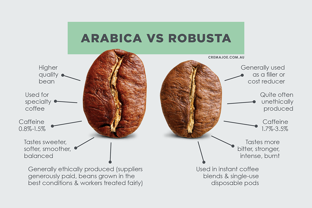 Brewing strong coffee with reusable coffee pods: Which beans to choose